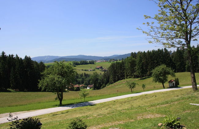 Beautiful Holiday Home in Viechtach With Views - Foto 62