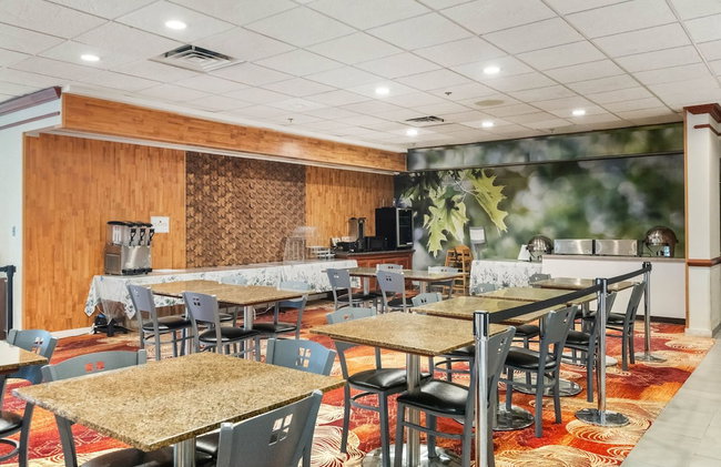 Medallion Inn & Suites - Foto 48
