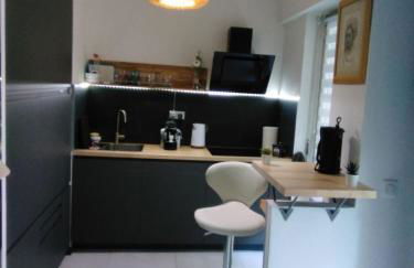 NICE- GAIRAUT - JARDIN PRIVE- GRAND F1 LUMINEUX-Piscine Collective - Foto 12