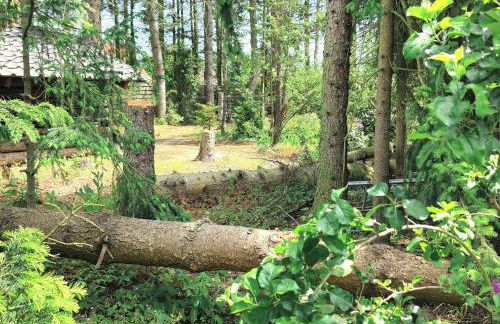 Taras Ferienwohnung - Foto 31