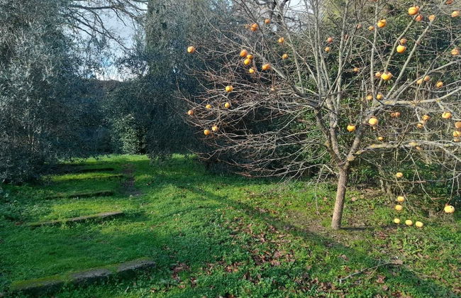 Agriturismo Il Sentiero - Foto 64