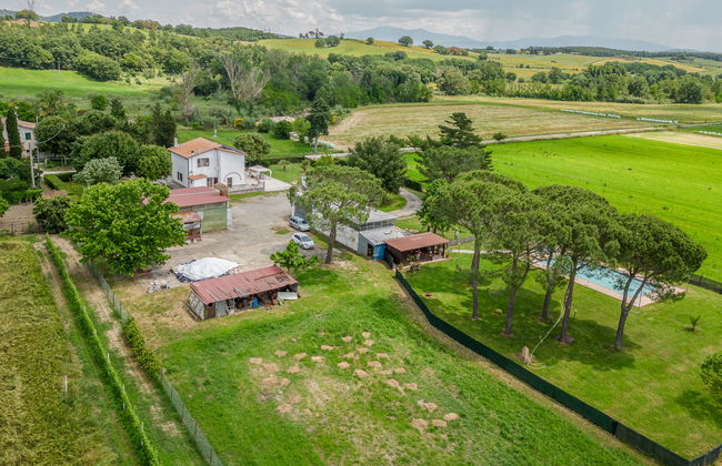 Marinpietri - Foto 27