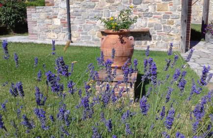 Agriturismo Valiana - Foto 34