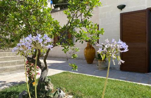 MASSERIA FRANTELLA - Foto 15