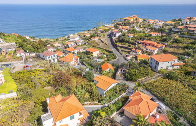 Palm Tree House by Madeira Sun Travel - Foto 20