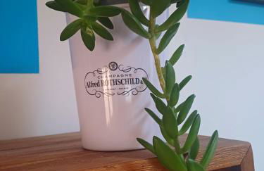 Joli studio libourne - Foto 15