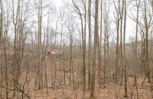 High Country Haven - Near Boone & Blowing Rock - Foto 65