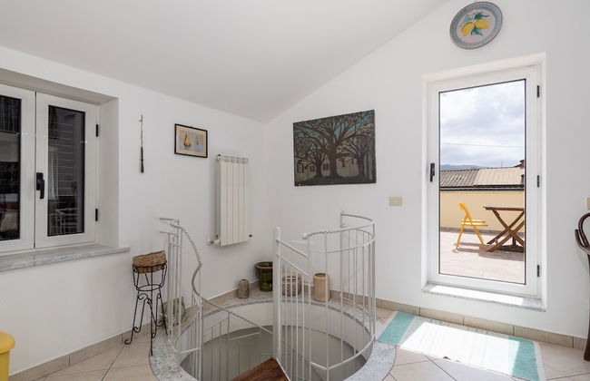 La nave del té - Foto 15