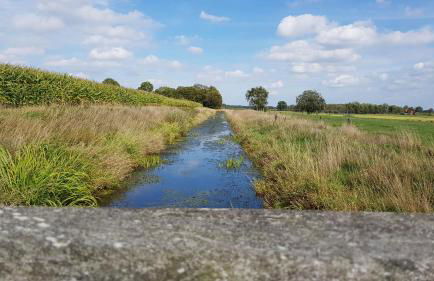 Ferienwohnung Utkiek - Foto 7