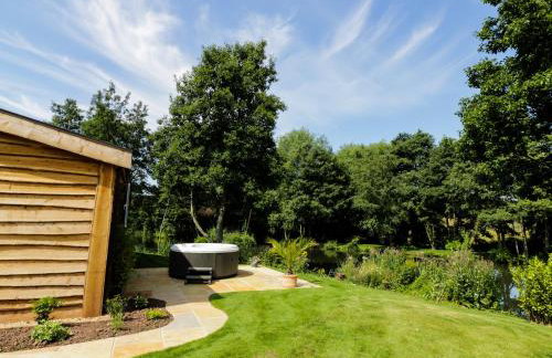 Kingfisher - Foto 17