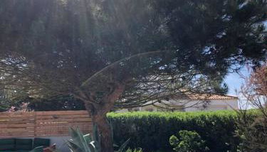 Villa avec piscine à 80 m de la plage - Photo 4