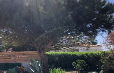 Villa avec piscine à 80 m de la plage - Foto 4