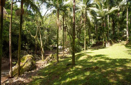 Canto da cascata - Foto 38