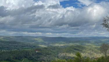 Tree Top View of lookout mountain - Foto 4