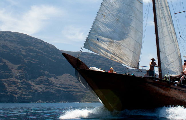 Los Cristianos Dolphin & Whale Watching Trip + Lunch - Photo 1