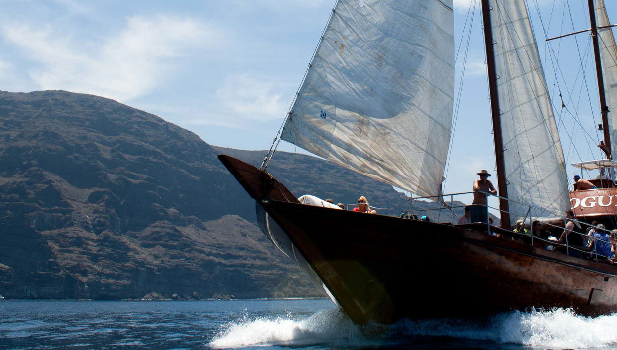 Passeio de escuna com avistamento de cetáceos e almoço
