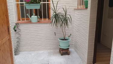 Apartamento Centro Histórico - Foto 5