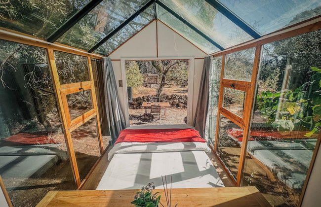 Pura Vida Bodrum - Foto 12