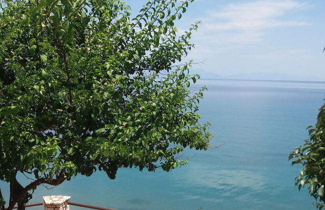 Panorama beach - Photo 53