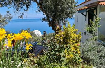 Captain's Villa - Foto 24