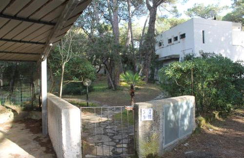 Rubino a soli 150m dal mare con posto auto - Foto 2