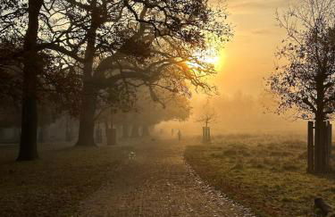 Charming Family Home near Richmond Park - Foto 17