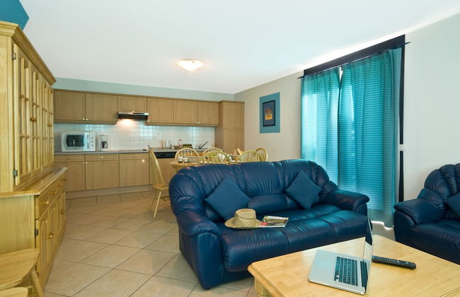 Domaine du Clos des Oliviers - Photo 15