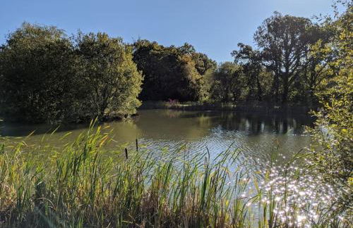 The Barn New Forest Free Paddle boarding & free Zip wire. - Foto 18