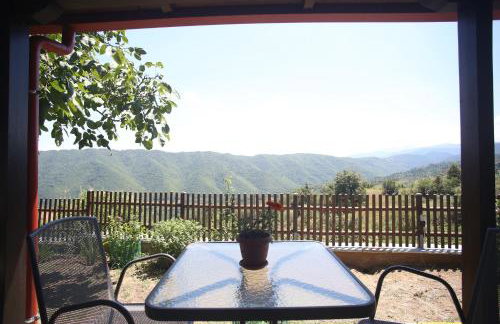 Boletus MushROOM - Foto 22