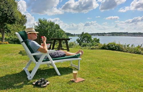 Fischreiher 1 - Foto 17