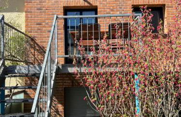 Fewo Eifel Dahlem Nationalpark Sonnenterrasse & Kamin - Foto 21