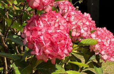 Ferienwohnung Burg Hausen - Foto 6