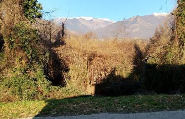 Agriturismo La Collina delle Api - Foto 44