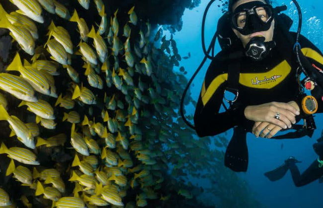 Bautismo de buceo en Maafushi - Foto 1