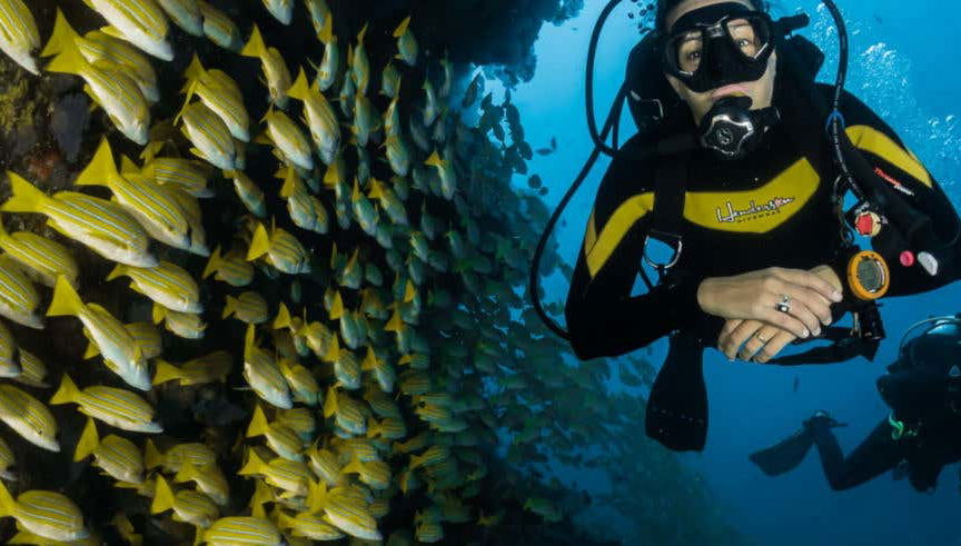 Maafushi Beginners Diving Lesson - Foto 1