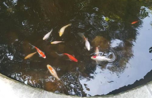 Luxury 5 Star Home with Amazing Water Views - Foto 42