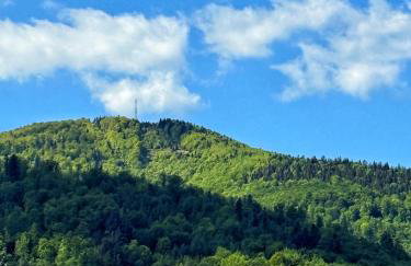 APARTAMENTY SZYNDZIELNIA - 2 Sypialnie & BALKON & PARKING IDEALNE MEJSCE W BASKIDACH dla RODZINY - Foto 52