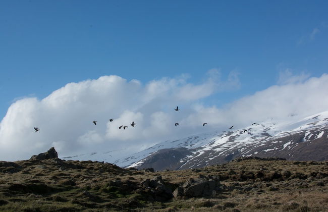 Bragdavellir Cottages - Foto 70