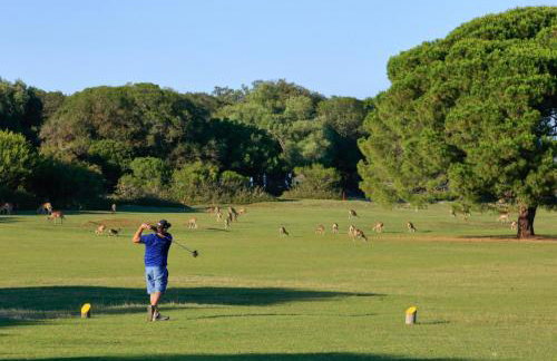 Marti's house in the olive grove - Foto 32