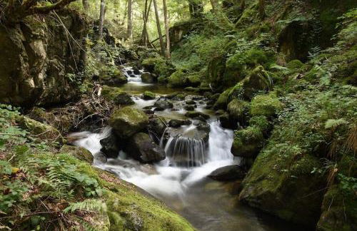 - Black4Rest Siebenschläfer Apartment Todtnauberg - - Foto 39
