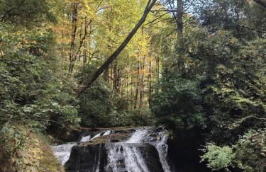 Healing Acres - Foto 59