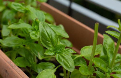 WELCOME RIVIERA - FIOCCO DI MARE elegante e moderno appartamento completamente rinnovato situato in una zona tranquilla -toll parking at 15 euro per day to be booked in advance -subject to availability - Foto 15