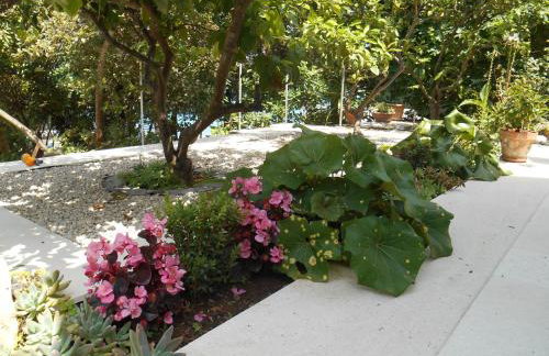 Apartment Marija - Foto 30