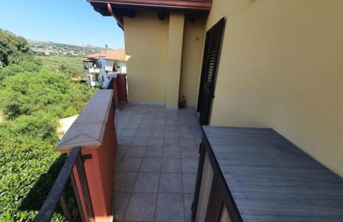 Gabbiano Jonathan - Foto 6