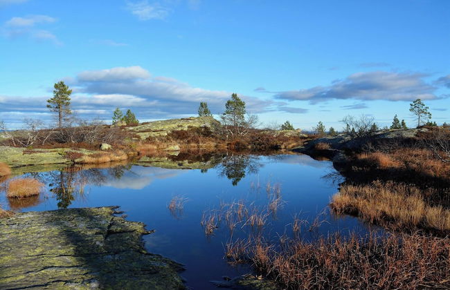 Ski Lodge & Apartments Gautefall - Foto 55