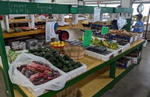 Suite 3 Renovated Dwtn WB Steps to Beach - Foto 24