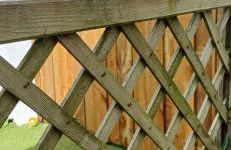 COUP DE COEUR Studio - Foto 44