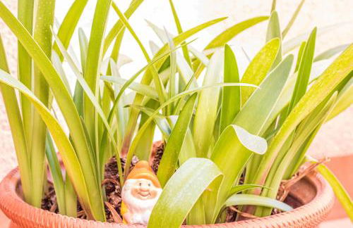 Serrallo Apartment - Foto 18