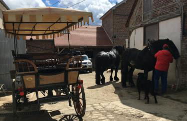 JARDIN DE CAMPAGNE - Foto 43