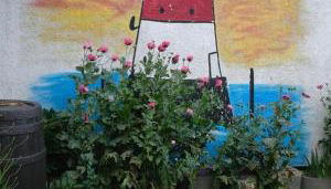 Wikingerstadt 1 - Foto 3